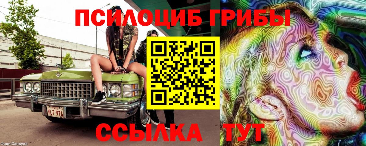 Карасук  Псилоцибиновые грибы Psilocybine cubensis  Псилоцибиновые грибы GOLDEN TEACHER  Вход с VPN 